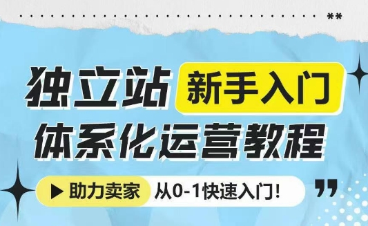 独立站新手入门体系化运营教程，助力独立站卖家从0-1快速入门!-悟空云赚AI