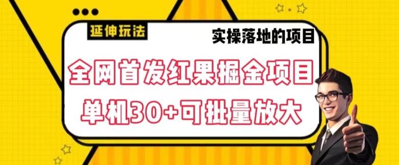 全网首发红果免费短剧掘金项目，单机30+可批量放大【揭秘】-悟空云赚AI