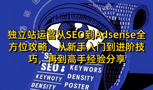 独立站运营从SEO到Adsense全方位攻略，从新手入门到进阶技巧，再到高手经验分享-悟空云赚AI