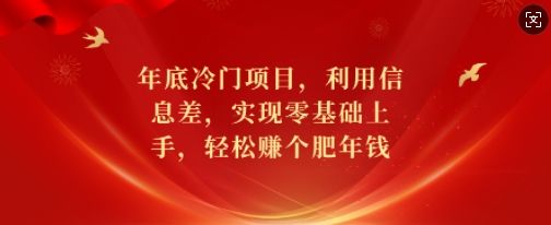 年底冷门项目，利用信息差，实现零基础上手，轻松赚个肥年钱【揭秘】-悟空云赚AI