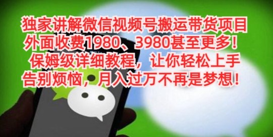 独家讲解微信视频号搬运带货项目，保姆级详细教程-悟空云赚AI