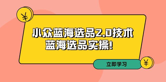 拼多多培训第33期：小众蓝海选品2.0技术-蓝海选品实操！-悟空云赚AI