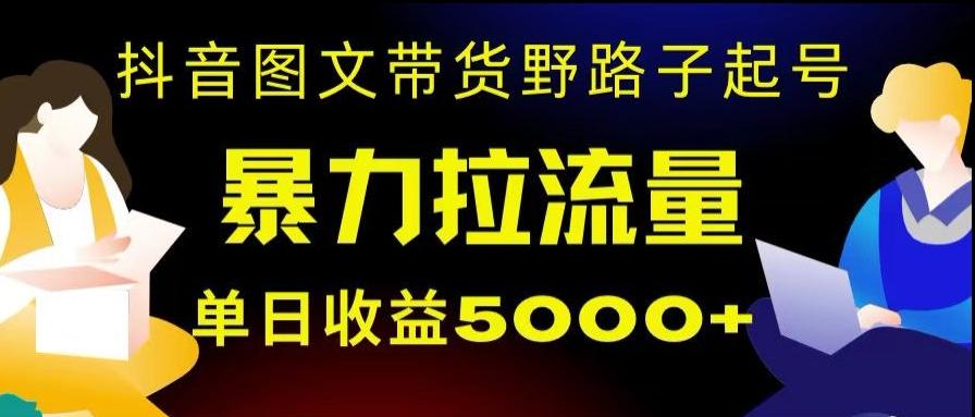 抖音图文带货暴力起号，单日收益5000+，野路子玩法，简单易上手，一部手机即可【揭秘】-悟空云赚AI