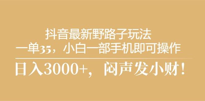 抖音最新野路子玩法，一单35，小白一部手机即可操作，，日入3000+，闷…-悟空云赚AI