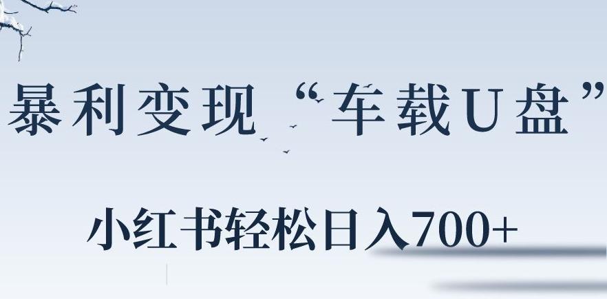 小红书“车载U盘”暴利引流，日入700+-悟空云赚AI