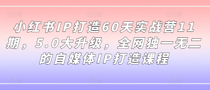 小红书IP打造60天实战营11期，5.0大升级，全网独一无二的自媒体IP打造课程-悟空云赚AI