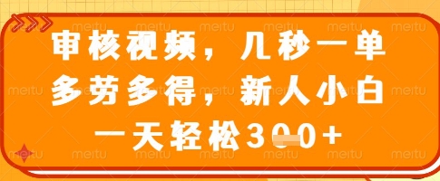 审核视频，几秒一单，多劳多得，新人小白一天轻松3张【揭秘】-悟空云赚AI