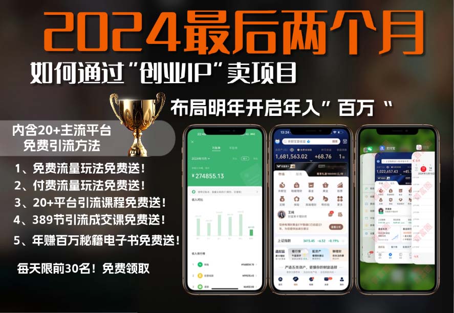 2024最后两个月如何通过”创业IP“卖项目年入”百万“,创业IP+最强引流…-悟空云赚AI