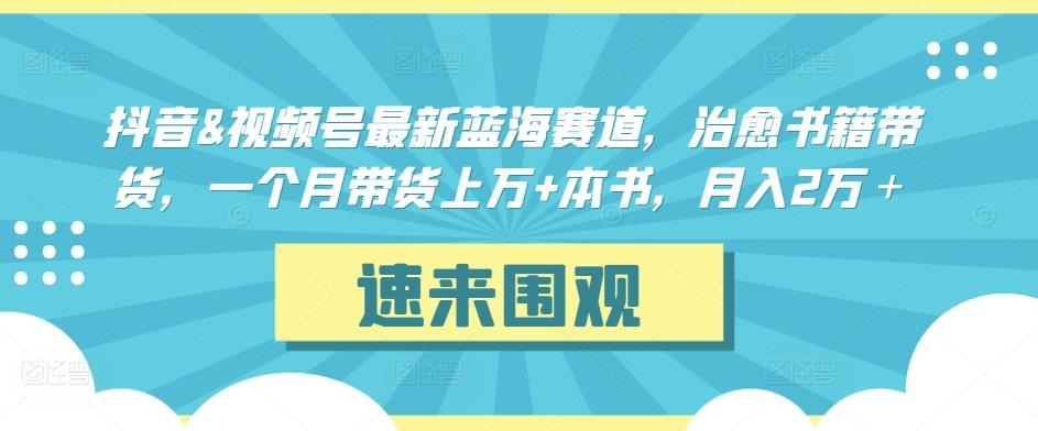 抖音&视频号最新蓝海赛道，治愈书籍带货，一个月带货上万+本书，月入2万＋【揭秘】-悟空云赚AI