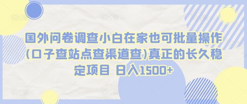 国外问卷调查小白在家也可批量操作(口子查站点查渠道查)真正的长久稳定项目 日入1500+【揭秘】-悟空云赚AI