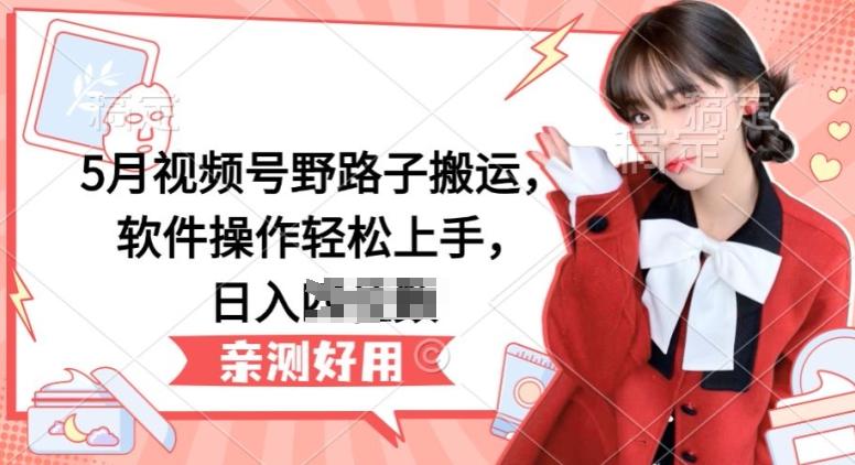 5月视频号野路子搬运，软件操作轻松上手，日入三位数【揭秘】-悟空云赚AI