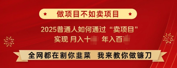 必看，做项目不如卖项目，2025普通人如何通过“卖项目”实现月入十个，年入百个-悟空云赚AI
