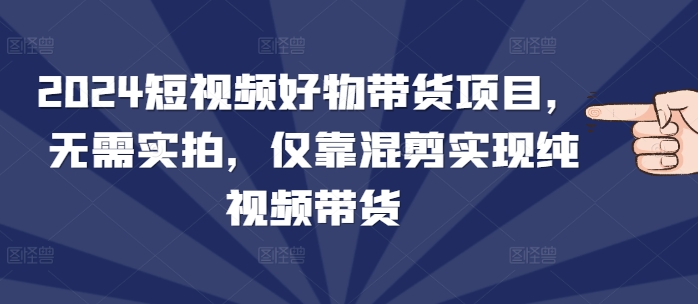 2024短视频好物带货项目，无需实拍，仅靠混剪实现纯视频带货-悟空云赚AI