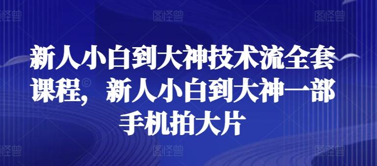 新人小白到大神技术流全套课程，新人小白到大神一部手机拍大片-悟空云赚AI