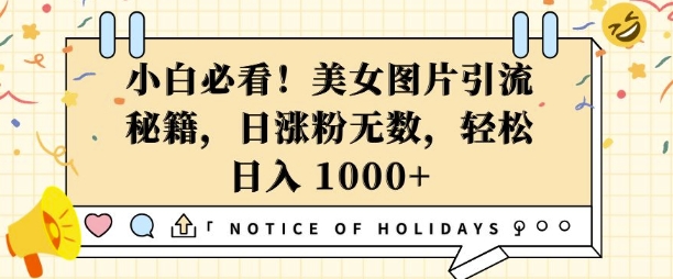 小白必看，美女图片引流秘籍，日涨粉无数，轻松日入几张【揭秘】-悟空云赚AI