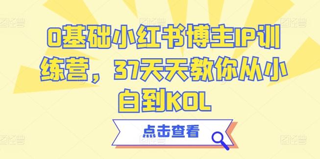 0基础小红书博主IP训练营，37天天教你从小白到KOL-悟空云赚AI