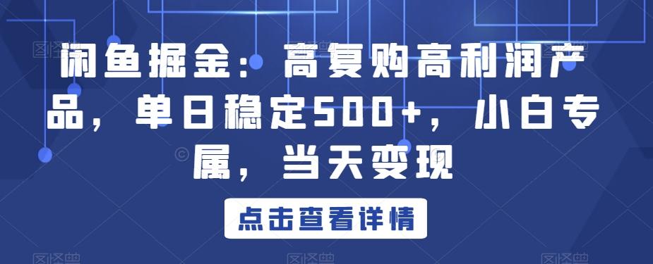 闲鱼掘金：高复购高利润产品，单日稳定500+，小白专属，当天变现-悟空云赚AI