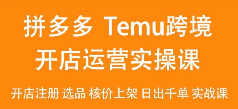 2024Temu最新玩法，Temu跨境开店运营实操课，开店注册/选品/核价上架/日出千单实战课-悟空云赚AI