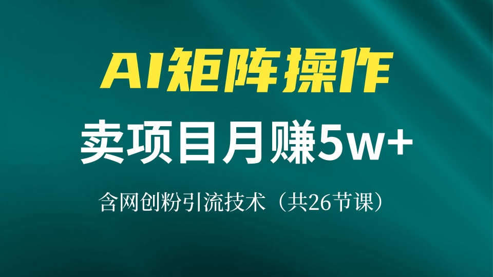网创IP打造课，借助AI卖项目月赚5万+，含引流技术(共26节课-悟空云赚AI