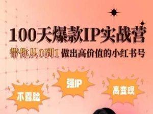小红书100天爆款IP实战营，带你从0到1做出高价值的小红书号-悟空云赚AI