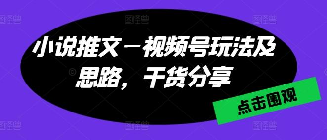 小说推文—视频号玩法及思路，干货分享-悟空云赚AI