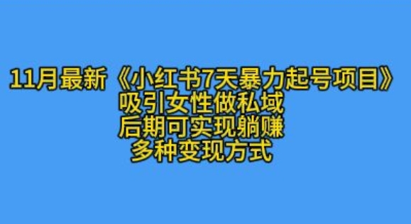 K总部落11月最新小红书7天暴力起号项目，吸引女性做私域【揭秘】-悟空云赚AI