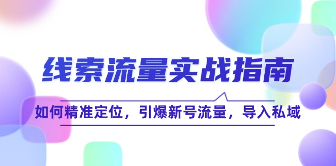 线 索 流 量-实战指南：如何精准定位，引爆新号流量，导入私域-悟空云赚AI