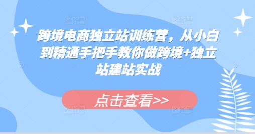 跨境电商独立站训练营，从小白到精通手把手教你做跨境+独立站建站实战-悟空云赚AI