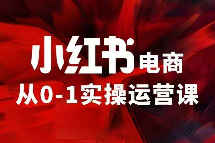 小红书电商运营，97节小红书vip内部课，带你实现小红书赚钱-悟空云赚AI