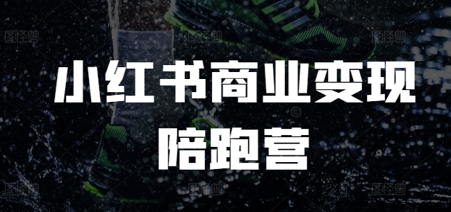 小红书商业变现陪跑营，小红书电商教程-悟空云赚AI