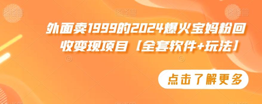 外面卖1999的2024爆火宝妈粉回收变现项目【全套软件+玩法】【揭秘】-悟空云赚AI