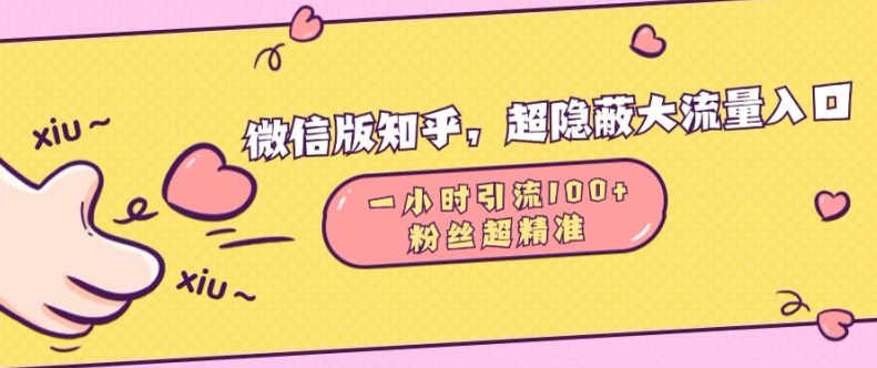 微信版知乎，超隐蔽流量入口1小时引流100人，粉丝质量超高【揭秘】-悟空云赚AI