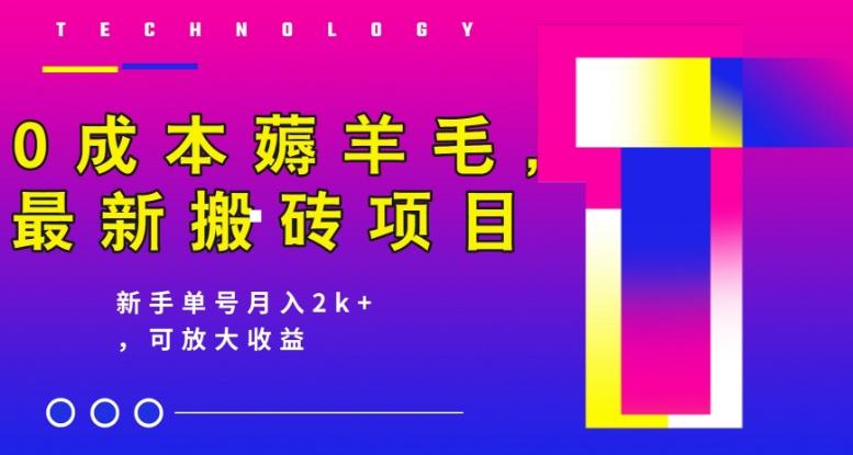 0成本薅羊毛，最新搬砖项目，新手单号月入2k+，可放大操作-悟空云赚AI