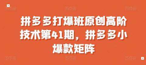 拼多多打爆班原创高阶技术第41期，拼多多小爆款矩阵-悟空云赚AI
