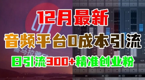 12月最新：音频平台0成本引流，日引流300+精准创业粉-悟空云赚AI