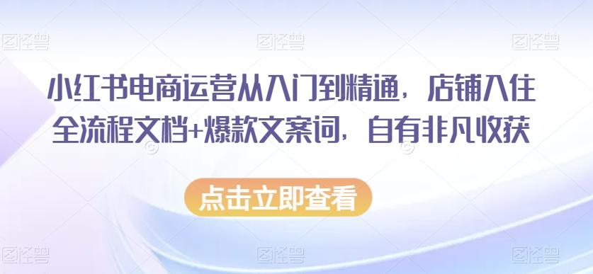 小红书电商运营从入门到精通，店铺入住全流程文档+爆款文案词，自有非凡收获-悟空云赚AI