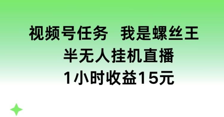 视频号任务，我是螺丝王， 半无人挂机1小时收益15元【揭秘】-悟空云赚AI
