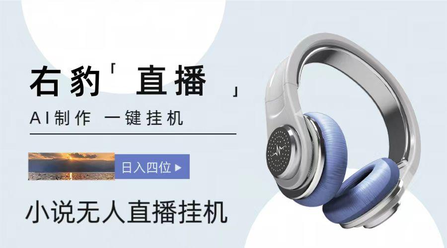 右豹小说无人直播挂机吸金项目，简单易行收益稳定， 月入1000+-悟空云赚AI