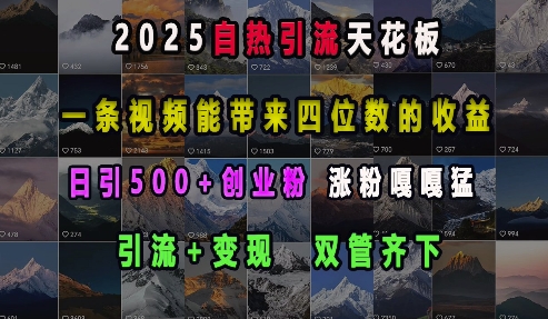2025自热引流天花板，一条视频能带来四位数的收益，引流+变现双管齐下，日引500+创业粉，涨粉嘎嘎猛-悟空云赚AI