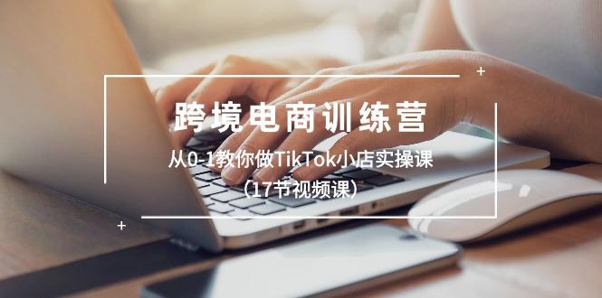 跨境电商训练营：从0-1教你做TikTok小店实操课(17节视频课-悟空云赚AI