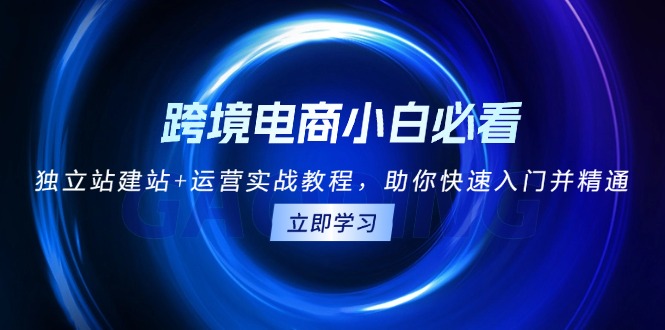 跨境电商小白必看！独立站建站+运营实战教程，助你快速入门并精通-悟空云赚AI