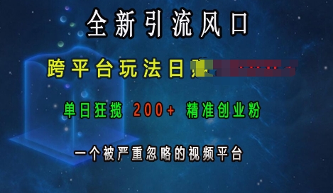 全新引流风口，跨平台玩法日入上k，单日狂揽200+精准创业粉，一个被严重忽略的视频平台-悟空云赚AI