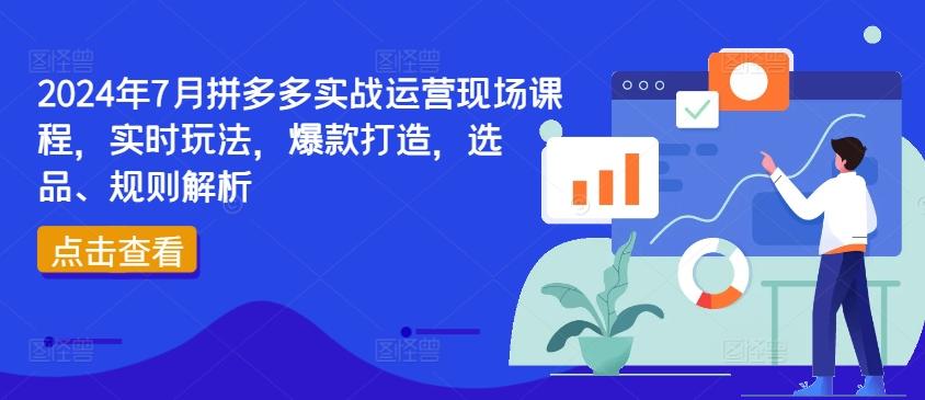 2024年7月拼多多实战运营现场课程，实时玩法，爆款打造，选品、规则解析-悟空云赚AI