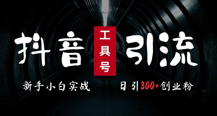 2024最新抖音工具号引流玩法，高效日引300+创业粉，当天变现5k，小白也可成为实战高手-悟空云赚AI