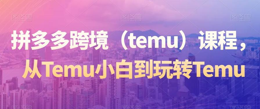 拼多多跨境（temu）课程，从Temu小白到玩转Temu-悟空云赚AI
