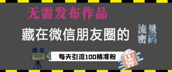 藏在微信朋友圈的流量密码，无需发布作品，单日引流100+精准创业粉【揭秘】-悟空云赚AI
