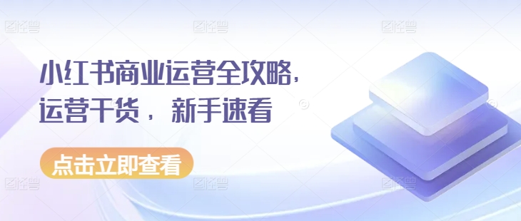 小红书商业运营全攻略，运营干货 ，新手速看-悟空云赚AI