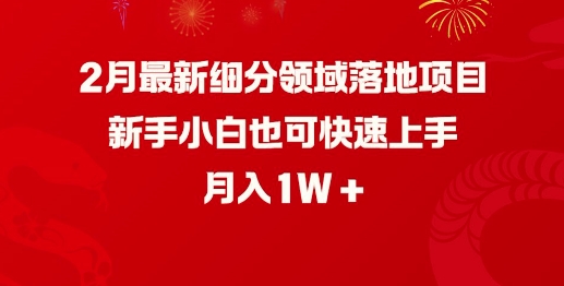 2月最新细分领域落地项目，新手小白也可快速上手，月入1W-悟空云赚AI