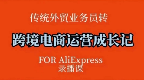 跨境电商速卖通运营课，​运营方法论+后台实操，逻辑清晰-悟空云赚AI