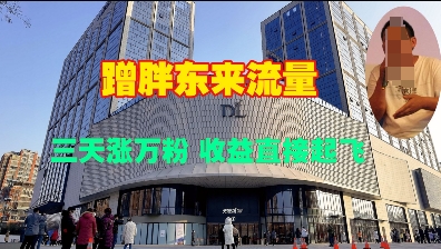 蹭胖东来流量，三天涨万粉，收益直接起飞-悟空云赚AI